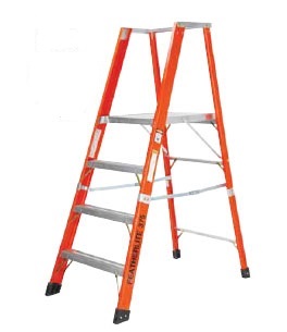 Platform & Extension Ladder